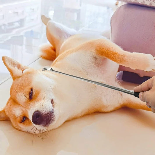 Grattoir sur chien soulagé