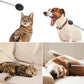 Grattoir sur animaux de compagnie