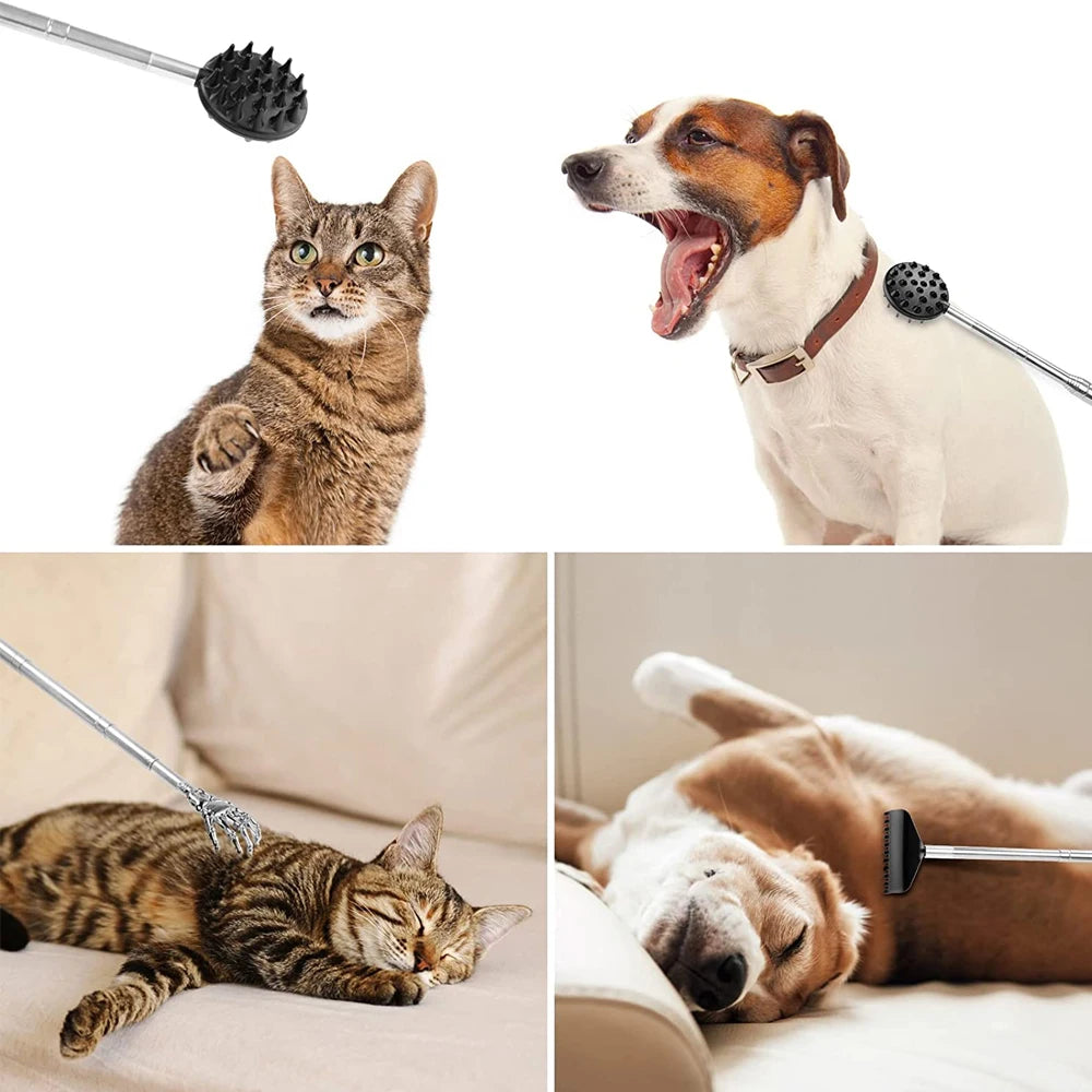 Grattoir sur animaux de compagnie