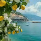 abre-de-citron-surreleve-pres-de-la-plage