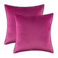 couverture de coussin en velour 19
