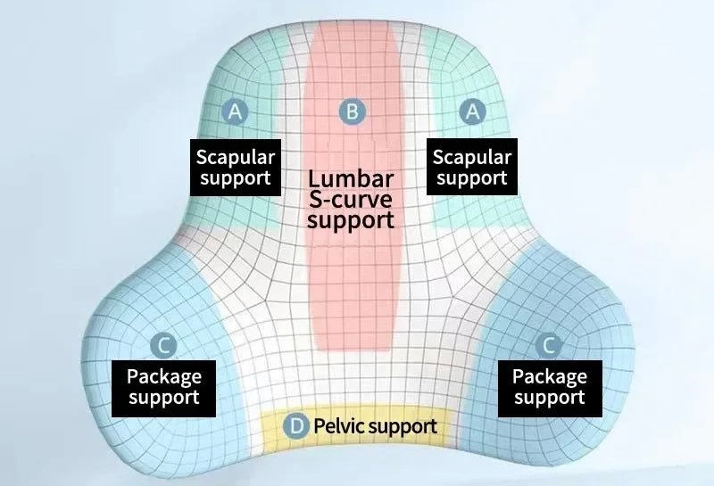 Dossier support du dos