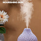 humidificateur en volcan vaporisateur