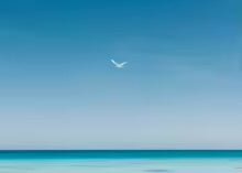 Paint Art Blue Paradise - Techni Tendresse