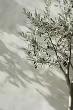 Paint Art Mediterranean - Techni Tendresse