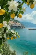 Paint Art Mediterranean - Techni Tendresse