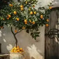 peinture arbre décoratif mediteraneen