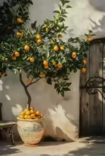 peinture arbre décoratif mediteraneen
