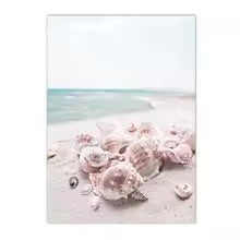 plage coquillage