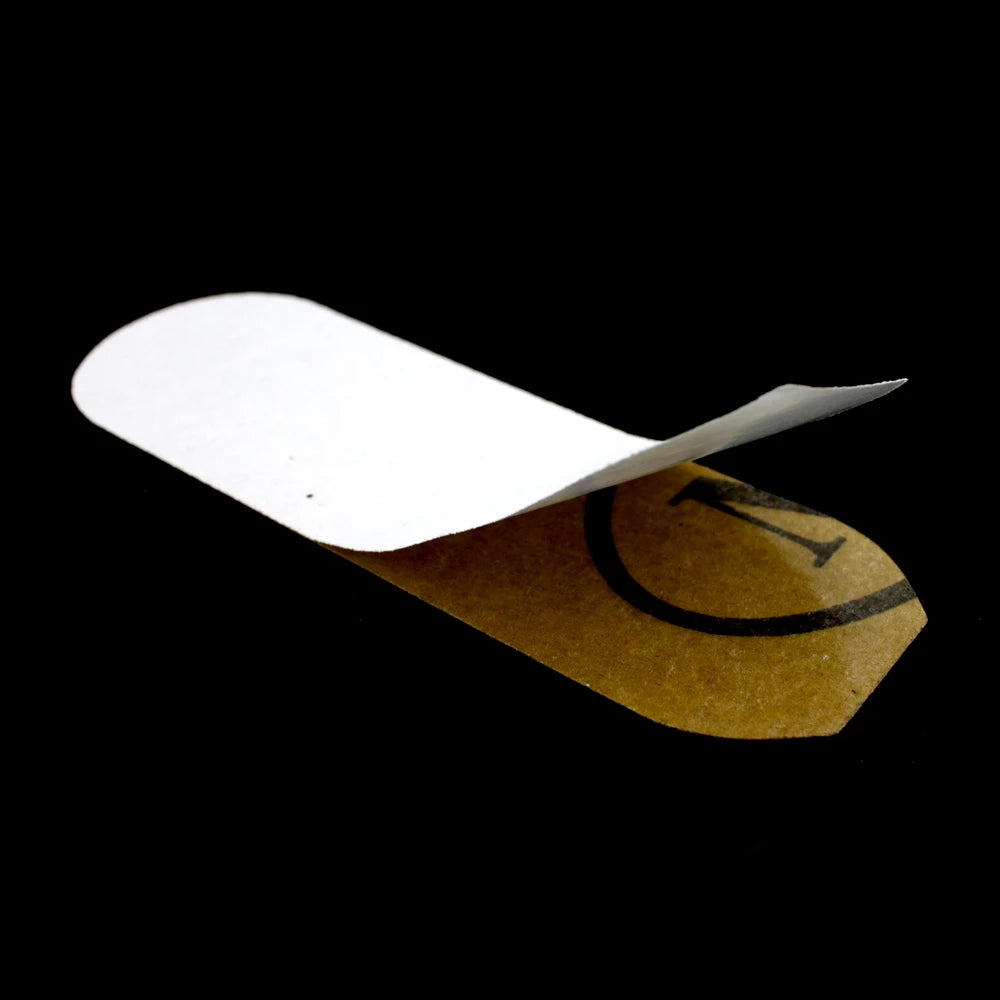 rape de pied avec papier de verre remplacable